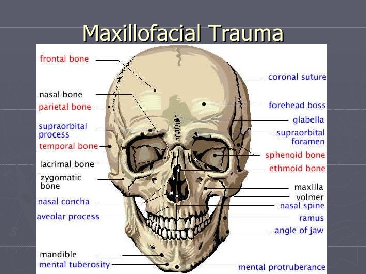 Maxillofacial Trauma - Homecare24