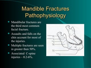 Mandible Fractures
             Pathophysiology
   Mandibular fractures are
    the third most common
    facial fracture.
   Assaults and falls on the
    chin account for most of
    the injuries.
   Multiple fractures are seen
    in greater then 50%.
   Associated C-spine
    injuries – 0.2-6%.
 
