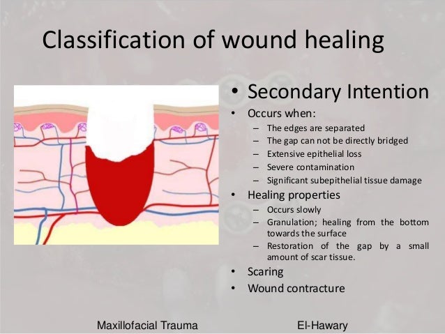 second intention healing - pictures, photos