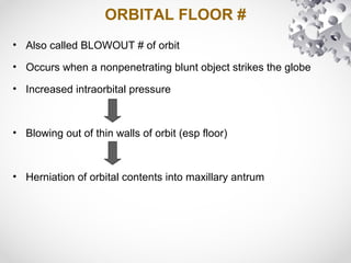 ORBITAL FLOOR #
• Also called BLOWOUT # of orbit
• Occurs when a nonpenetrating blunt object strikes the globe
• Increased intraorbital pressure
• Blowing out of thin walls of orbit (esp floor)
• Herniation of orbital contents into maxillary antrum
 