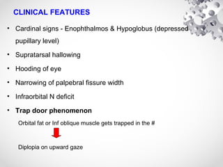 CLINICAL FEATURES
• Cardinal signs - Enophthalmos & Hypoglobus (depressed
pupillary level)
• Supratarsal hallowing
• Hooding of eye
• Narrowing of palpebral fissure width
• Infraorbital N deficit
• Trap door phenomenon
Orbital fat or Inf oblique muscle gets trapped in the #
Diplopia on upward gaze
 