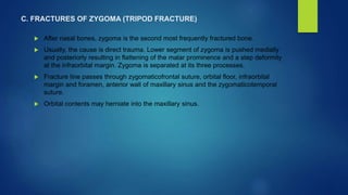 C. FRACTURES OF ZYGOMA (TRIPOD FRACTURE)
 After nasal bones, zygoma is the second most frequently fractured bone.
 Usually, the cause is direct trauma. Lower segment of zygoma is pushed medially
and posteriorly resulting in flattening of the malar prominence and a step deformity
at the infraorbital margin. Zygoma is separated at its three processes.
 Fracture line passes through zygomaticofrontal suture, orbital floor, infraorbital
margin and foramen, anterior wall of maxillary sinus and the zygomaticotemporal
suture.
 Orbital contents may herniate into the maxillary sinus.
 