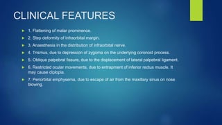 CLINICAL FEATURES
 1. Flattening of malar prominence.
 2. Step deformity of infraorbital margin.
 3. Anaesthesia in the distribution of infraorbital nerve.
 4. Trismus, due to depression of zygoma on the underlying coronoid process.
 5. Oblique palpebral fissure, due to the displacement of lateral palpebral ligament.
 6. Restricted ocular movements, due to entrapment of inferior rectus muscle. It
may cause diplopia.
 7. Periorbital emphysema, due to escape of air from the maxillary sinus on nose
blowing.
 