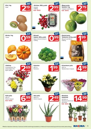 9
Piltidel on illustreeriv tähendus. Soodustus kehtib tavahinnaga toodetele (v.a Helisevad hinnad tooted) ega kehti koos teiste pakkumistega.
059
-33%
0.89€
299
-21%
3.79€
219
-56%
4.99€
249
-37%
3.99€
279
-20%
3.49€
Kõrvits, 1 kg
Тыква
Jõhvikas, 250 g, pakk
Клюква
11.96/kg
Kiivi, 1 kg
Киви
Aloe potis
Ø10,5 cm
Алоэ в горшке
Magus greip
Sweetie, 1 kg
Сладкие грейпфруты
099
-37%
1.59€
Brüsseli
kapsas, 300 g, pakk
Брюссельская капуста
3.30/kg 199
-33%
2.99€
Pestud kartul
Talukartul, 2,5 kg, pakk
Мытый картофель
0.80/kg
Rohelised
toataimed
120-140 cm
Зелёные комнатные
растения
-25%
1499
19.99€
499
-37%
7.99€
Krüsanteem potis
Ø23 cm
Хризантема в горшке
269
-32%
3.99€
Lillekimp
krüsanteemid, 3 tk;
kobarnelgid, 11 tk
Букет цветов
699
-30%
9.99€
Kalla potis
Ø13 cm
Кала в горшке
199
-33%
2.99€
Kalanhoe
Ø12 cm
Каланхоэ
 