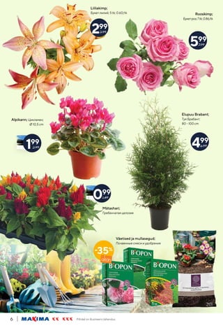 Piltidel on illustreeriv tähendus.
6
Roosikimp;
Букетроз;7tk;0.86/tk
Liiliakimp;
Букет лилий; 5 tk; 0.60/tk
Alpikann; Цикламен;
Ø 10,5 cm
Mätashari;
Гребенчатая целозия
-35%
Väetised ja mullasegud;
Почвенные смеси и удобрения
299
3.99
599
7.99
199
2.99
099
1.49
Elupuu Brabant;
Туя Брабант;
80 - 100 cm
499
6.99
 