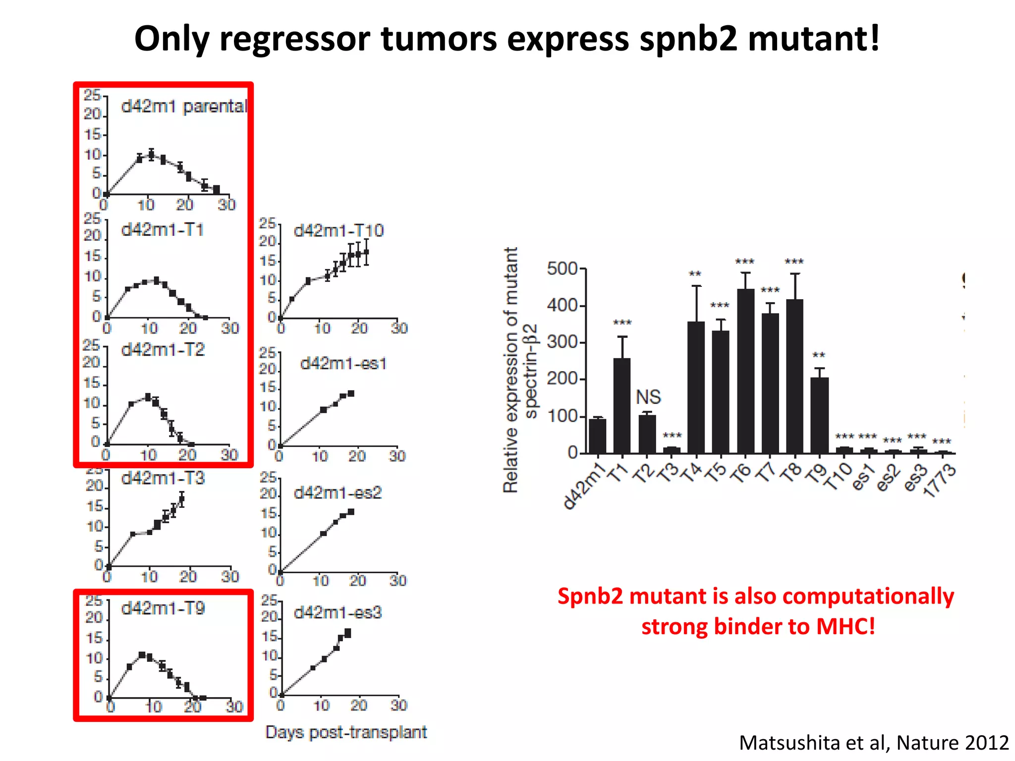 Only regressor tumors express spnb2 mutant!
Spnb2 mutant is also computationally
strong binder to MHC!
Matsushita et al, Nature 2012
 