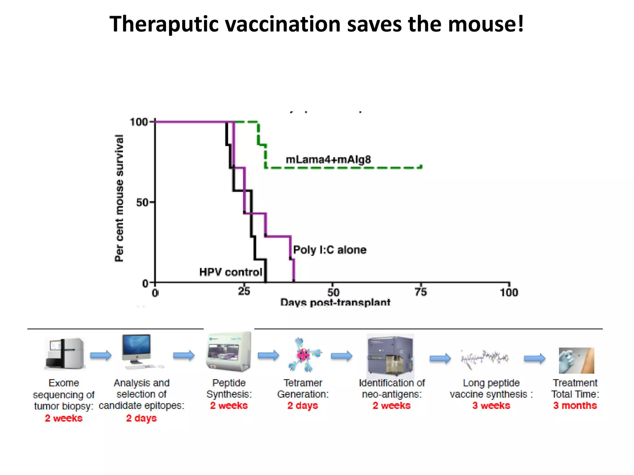 Theraputic vaccination saves the mouse!
 