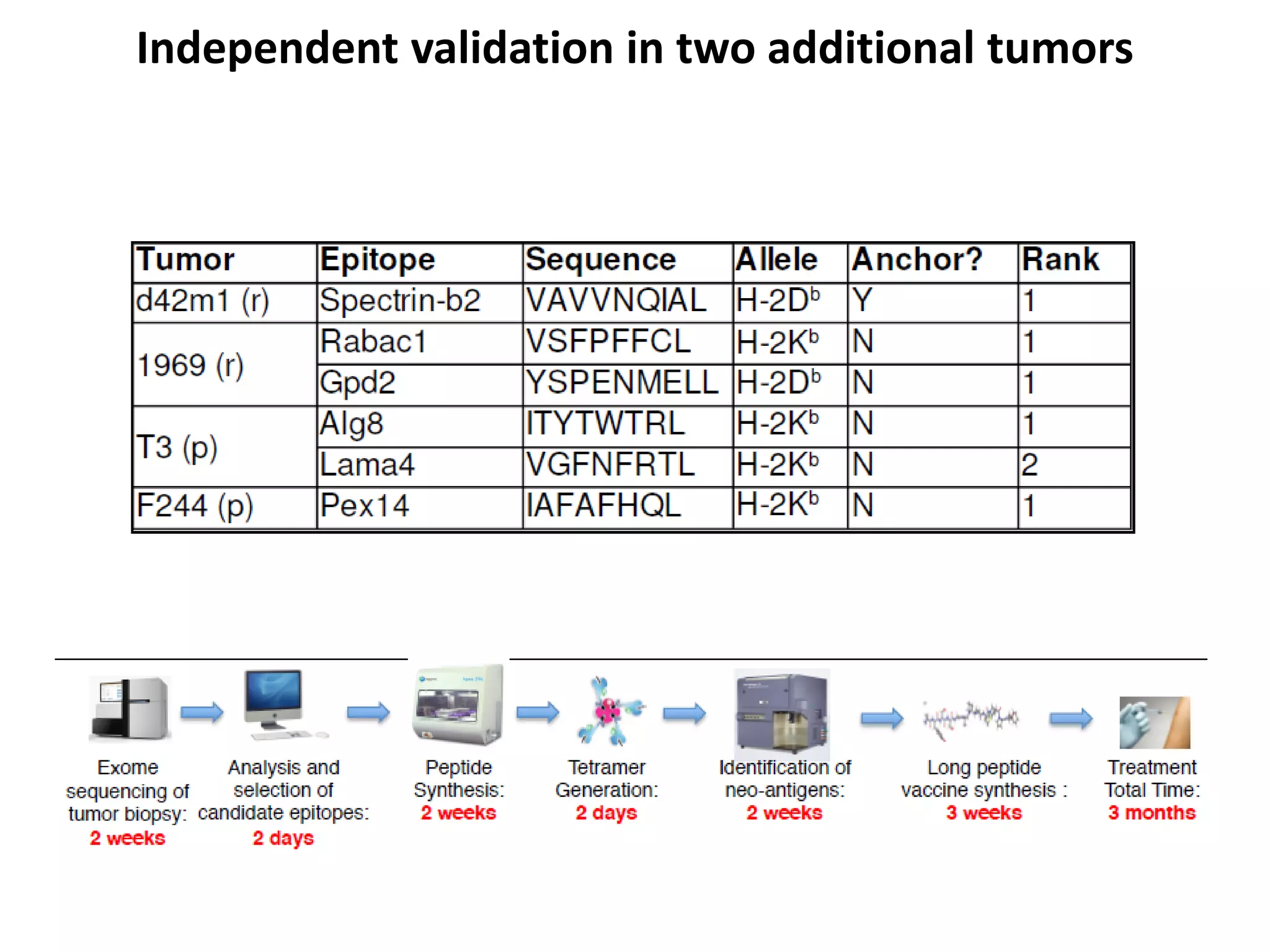 Independent validation in two additional tumors
 