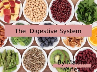 The Digestive System
By Maxim
Yáñez
 