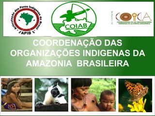 COORDENAÇÃO DAS
ORGANIZAÇÕES INDIGENAS DA
AMAZONIA BRASILEIRA
 