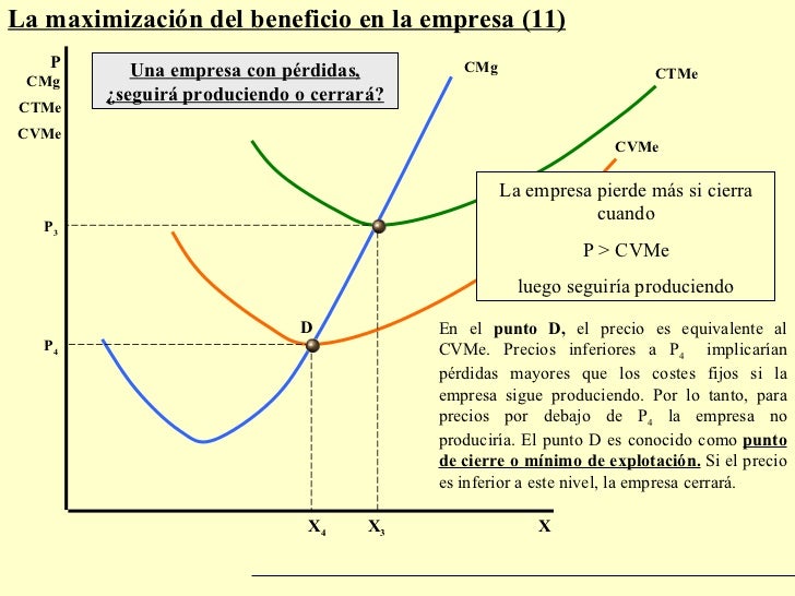 Maximizacion Beneficio