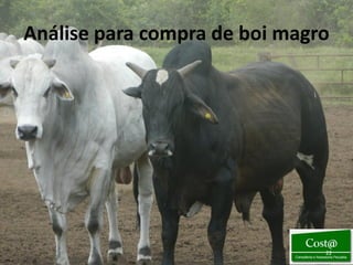 Análise para compra de boi magro




                               22
 