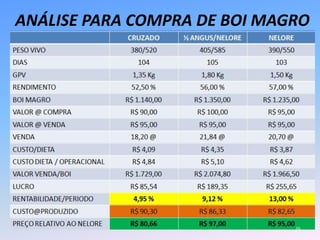 ANÁLISE PARA COMPRA DE BOI MAGRO




                              25
 