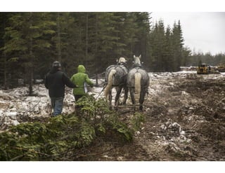 Maximize Your Membership