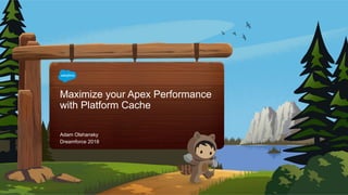 Maximize your Apex Performance
with Platform Cache
Dreamforce 2018
Adam Olshansky
 