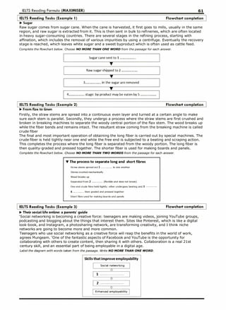 Maximize Reading Maximizer reading.pdf