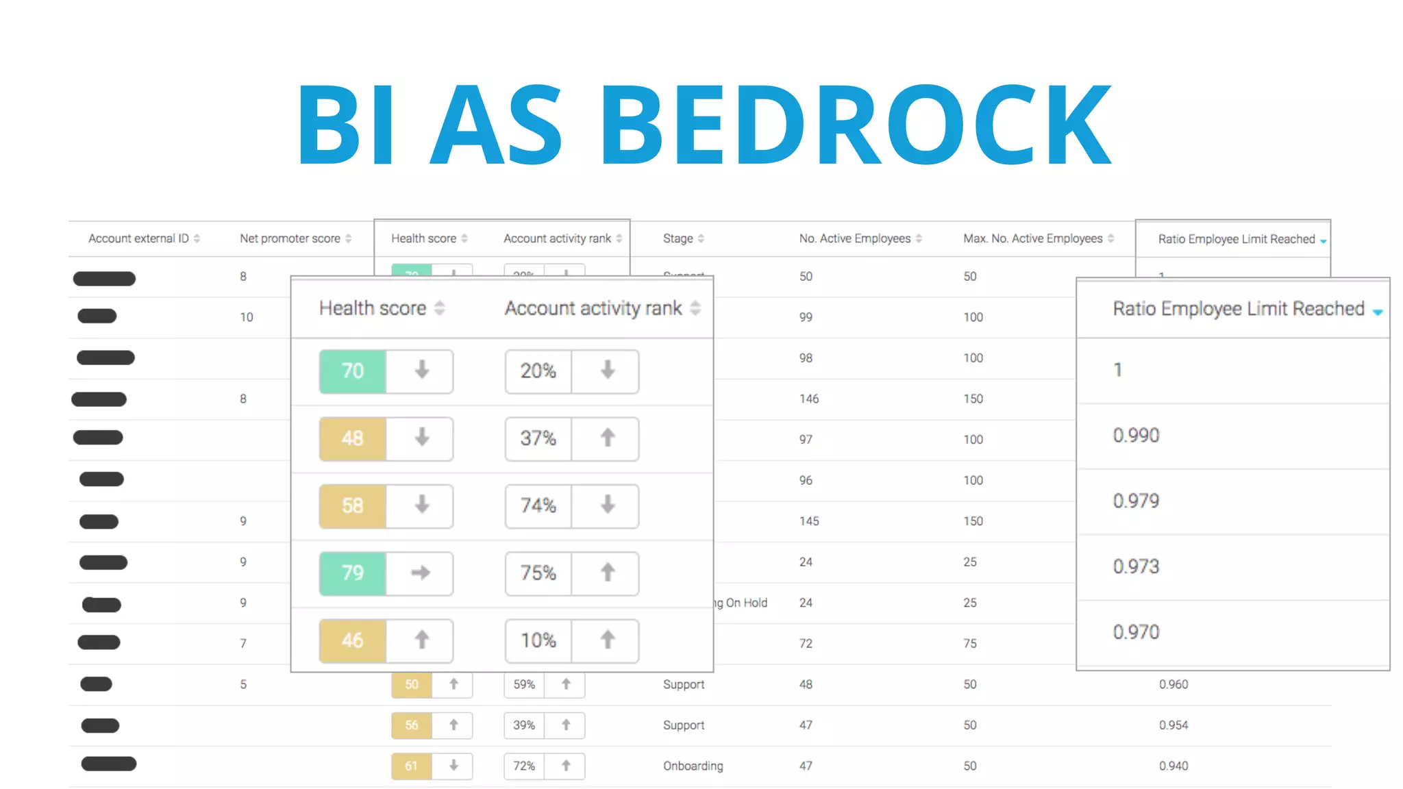 BI AS BEDROCK
 