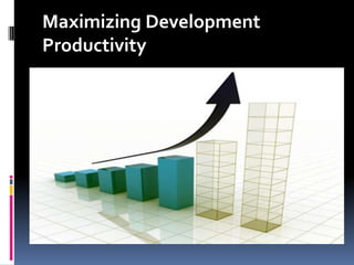 Maximizing Development Productivity 