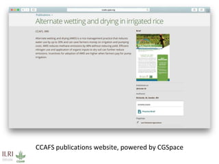 Maximizing the impact of institutional knowledge at IITA using CGSpace