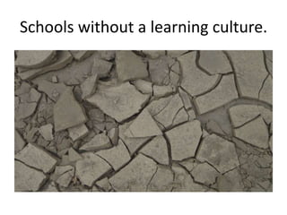 Schools without a learning culture.