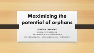 Maximizing the
potential of orphans
SUSAN SCHOENIAN
SHEEP & GOAT SPECIALIST
UNIVERSITY OF MARYLAND EXTENSION
SSCHOEN@UMD.EDU – SHEEPANDGOAT.COM – WORMX.INFO
 