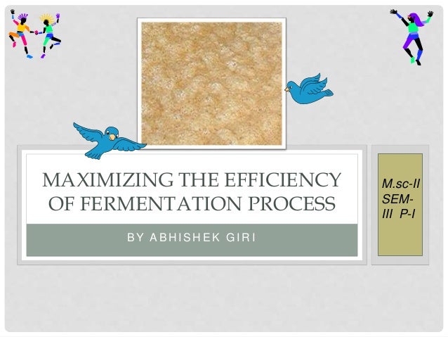 Maximizing the efficiency of fermentation process - Maximizing The Efficiency Of Fermentation Process 1 638