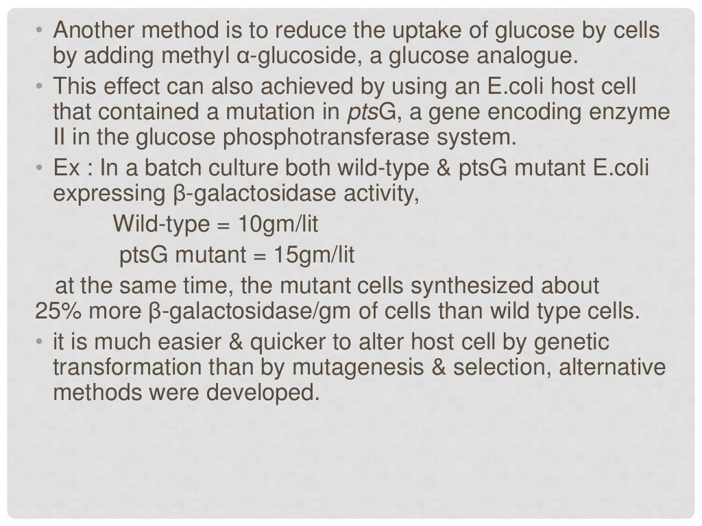 Maximizing the efficiency of fermentation process - Maximizing The Efficiency Of Fermentation Process 26 1024