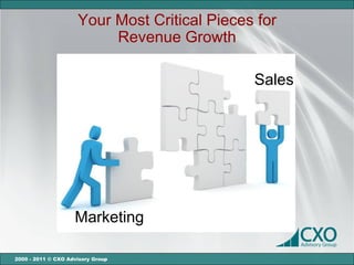 Your Most Critical Pieces for
                          Revenue Growth

                                              Sales




                    Marketing

2000 - 2011 © CXO Advisory Group
 