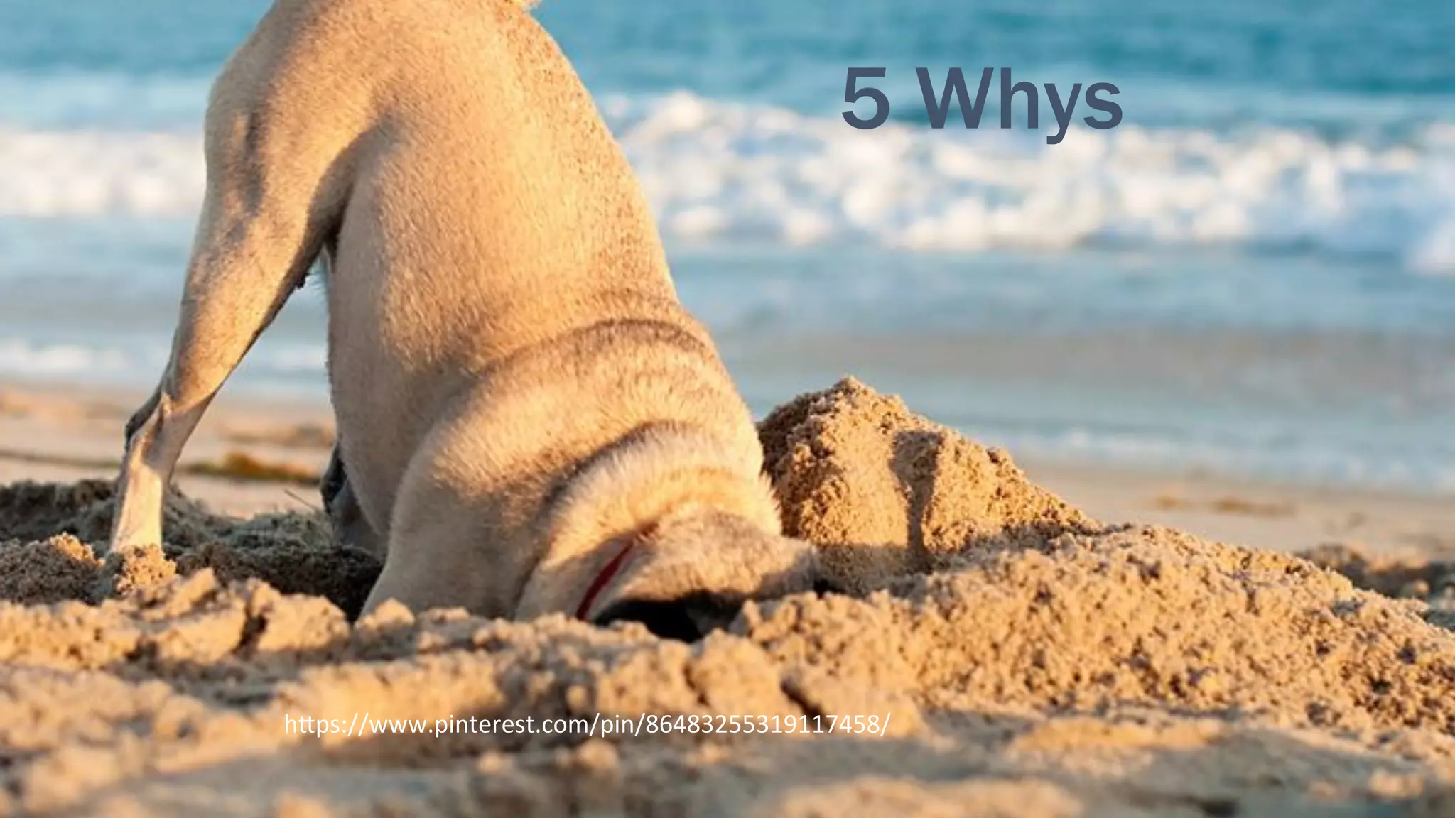 28	
5 Whys
h%ps://www.pinterest.com/pin/86483255319117458/	
 