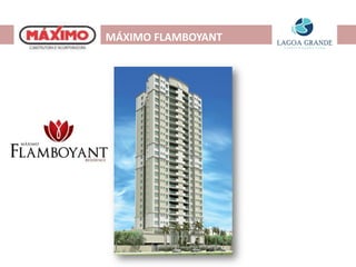 MÁXIMO FLAMBOYANT
 