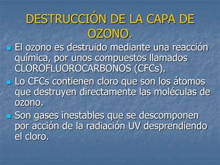 DESTRUCCIÓN DE LA CAPA DE
               OZONO.
   El ozono es destruido mediante una reacción
    química, por unos compuestos llamados
    CLOROFLUOROCARBONOS (CFCs).
   Lo CFCs contienen cloro que son los átomos
    que destruyen directamente las moléculas de
    ozono.
   Son gases inestables que se descomponen
    por acción de la radiación UV desprendiendo
    el cloro.
 