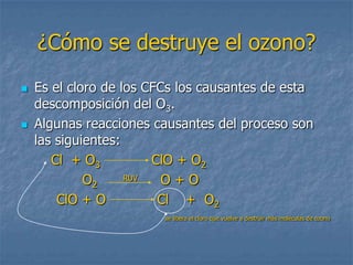 ¿Cómo se destruye el ozono?
   Es el cloro de los CFCs los causantes de esta
    descomposición del O3.
   Algunas reacciones causantes del proceso son
    las siguientes:
       Cl + O3          ClO + O2
             O2     RUV   O+O
        ClO + O          Cl + O2
                         se libera el cloro que vuelve a destruir más moléculas de ozono
 