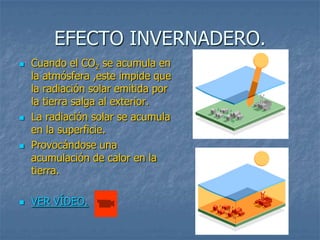 EFECTO INVERNADERO.
   Cuando el CO2 se acumula en
    la atmósfera ,este impide que
    la radiación solar emitida por
    la tierra salga al exterior.
   La radiación solar se acumula
    en la superficie.
   Provocándose una
    acumulación de calor en la
    tierra.

   VER VÍDEO.
 