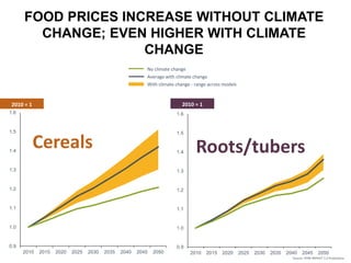 0.9
1.0
1.1
1.2
1.3
1.4
1.5
1.6
2010 2015 2020 2025 2030 2035 2040 2045 2050
Source: IFPRI IMPACT 3.2 Projections.
FOOD PRICES INCREASE WITHOUT CLIMATE
CHANGE; EVEN HIGHER WITH CLIMATE
CHANGE
No climate change
Average with climate change
With climate change - range across models
(Indexed to 1 in 2010)
0.9
1.0
1.1
1.2
1.3
1.4
1.5
1.6
2010 2015 2020 2025 2030 2035 2040 2045 2050
Cereals Roots/tubers
2010 = 1 2010 = 1
 