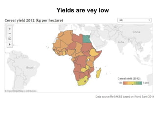 Yields are vey low
 