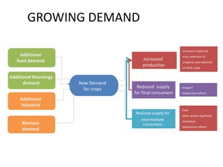 Increased
production
Reduced supply
for final consumers
Reduced supply for
intermediate
consumers
New Demand
for crops
Increase in yield and
area, extension of
cropland, and reduction
of other crops
GROWING DEMAND
Additional
food demand
Additional Bioenergy
demand
Additional
industrial
Hunger?
Substitution effects
Feed
Other sectors (agrifood,
cosmetics)
Substitution effects
Biomass
demand
 