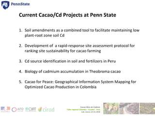 Cacao and Cadmium Research at Penn State