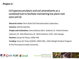 Cacao and Cadmium Research at Penn State