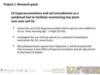 Cacao and Cadmium Research at Penn State