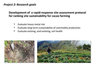 Cacao and Cadmium Research at Penn State