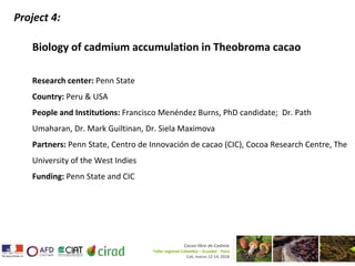 Cacao and Cadmium Research at Penn State