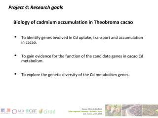 Cacao and Cadmium Research at Penn State