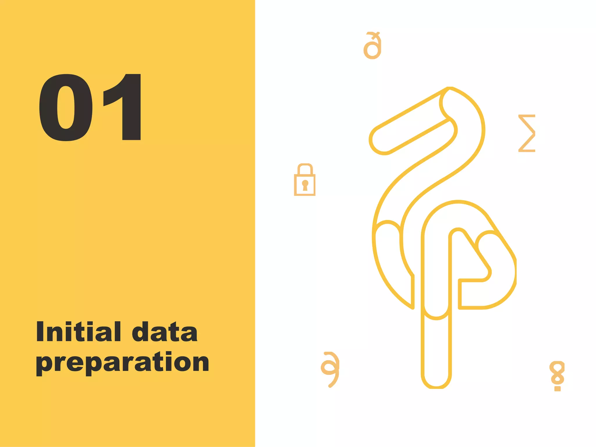 01
Initial data
preparation
 