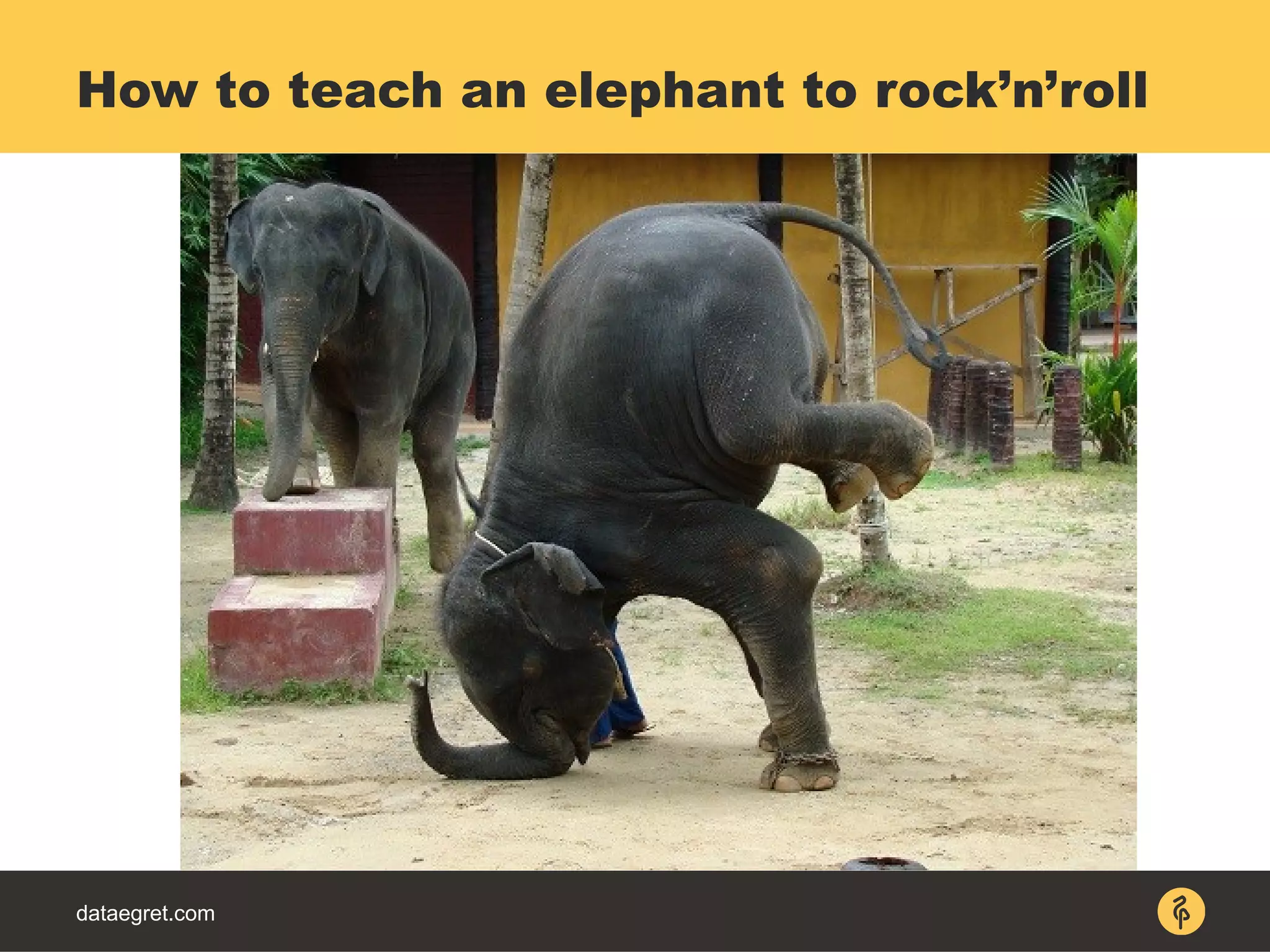 dataegret.com
How to teach an elephant to rock’n’roll
 
