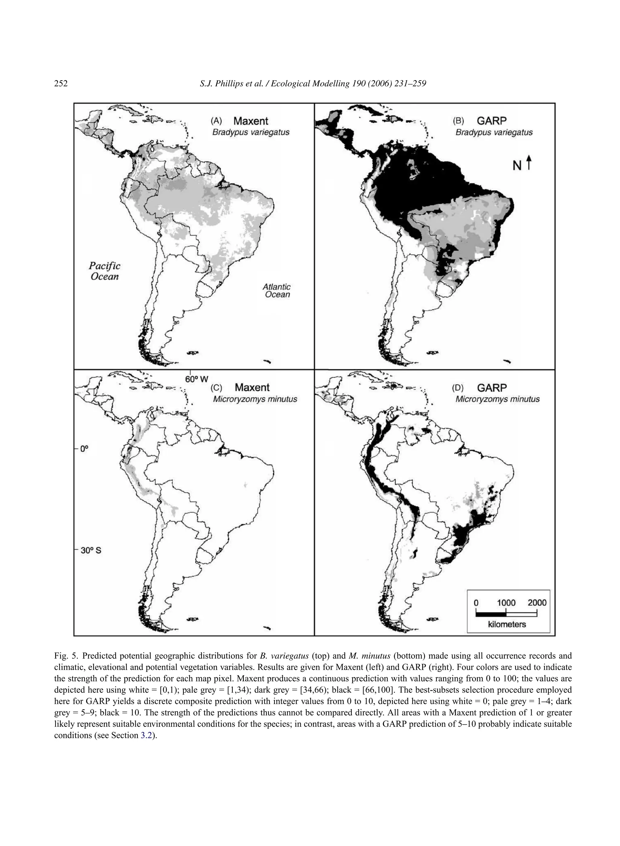 252 S.J. Phillips et al. / Ecological Modelling 190 (2006) 231–259
Fig. 5. Predicted potential geographic distributions for B. variegatus (top) and M. minutus (bottom) made using all occurrence records and
climatic, elevational and potential vegetation variables. Results are given for Maxent (left) and GARP (right). Four colors are used to indicate
the strength of the prediction for each map pixel. Maxent produces a continuous prediction with values ranging from 0 to 100; the values are
depicted here using white = [0,1); pale grey = [1,34); dark grey = [34,66); black = [66,100]. The best-subsets selection procedure employed
here for GARP yields a discrete composite prediction with integer values from 0 to 10, depicted here using white = 0; pale grey = 1–4; dark
grey = 5–9; black = 10. The strength of the predictions thus cannot be compared directly. All areas with a Maxent prediction of 1 or greater
likely represent suitable environmental conditions for the species; in contrast, areas with a GARP prediction of 5–10 probably indicate suitable
conditions (see Section 3.2).
 