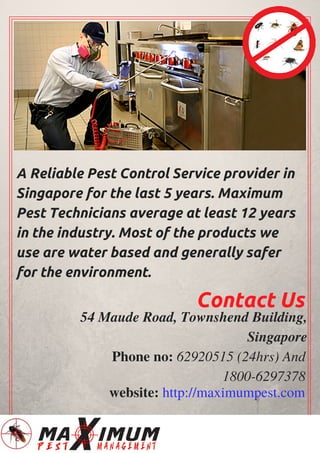A Reliable Pest Control Service provider in
Singapore for the last 5 years. Maximum
Pest Technicians average at least 12 years
in the industry. Most of the products we
use are water based and generally safer
for the environment.
Contact Us
54 Maude Road, Townshend Building,
Singapore
Phone no: 62920515 (24hrs) And
1800-6297378
website: http://maximumpest.com
 