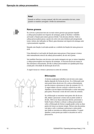 Operação da cabeça processadora
255784
12 5229342PTEU / Operating technique Head_(1.14)
Nota!
Quando se utiliza o avanço manual, não há corte automático do toro, como
quando se mantém carregado o botão de automatismo.
160410
Ramos grossos
Se a árvore a processar tem um ou mais ramos grossos que possam impedir
a cabeça processadora nos trajectos de arranque, pode-se facilitar o trabalho
activando a função para ramos grossos (botão 3 da alavanca direita). Então a
cabeça processadora passa o ponto de corte com uma distância pré-programada
(estes valores são indicados no Maxi), para desramar um trajecto de arranque ante
o processamento seguinte.
Quando esta função é activada acende-se o símbolo da função de rama grossa no
ecrã.
Uma alternativa à activação da função para rama grossa é fazer passar o tronco
todo manualmente através da cabeça processadora, da raiz até à ponta.
Isto também funciona com árvores com muita ramagem em que os ramos impedem
a cabeça processadora nos trajectos de arranque. A travessia da árvore numa só
fase desrama-a eficazmente, devido à cabeça processadora ser ajudada pela força
criada pela velocidade de deslocação da árvore.
A seguir recua-se o tronco e processa-se como de costume.
Bifurcações
A B
1
2
3
1
2
3
4
61548
A técnica usada para trabalhar com árvores com copas
duplas depende da forma da árvore. Se a bifurcação está
num ponto baixo da árvore (A), corta-se directamente
um dos troncos e processa-se como de costume (A1-3).
A seguir abater a árvore vertical e colocá-la no solo.
Apanhar a árvore depois da bifurcação e cortar uma peça
para pasta. Processar o resto do toro como de costume.
Se a bifurcação se encontrar num ponto alto da árvore
(B), abater e processar o tronco até ao ponto aonde se
divide. Abrir aí as facas (alavanca direita: pressionar o
botão 8 para a frente) e colocar a cabeça processadora
sobre a bifurcação de forma à espada poder cortar as duas
partes do tronco ao mesmo tempo. Deixar uma das pontas
cair para o solo e continuar a processar a outra ponta
que ainda se encontra na cabeça processadora. A seguir
apanhar a outra ponta que ainda se encontra no solo e
processá-la.
 