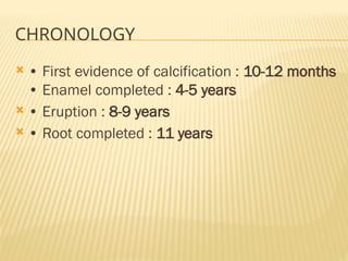 CHRONOLOGY
 • First evidence of calcification : 10-12 months
• Enamel completed : 4-5 years
 • Eruption : 8-9 years
 • Root completed : 11 years
 