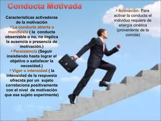 Activación: Para
activar la conducta el
individuo requiere de
energía cinética
(proveniente de la
comida)
Características activadoras
de la motivación
La conducta abierta o
manifiesta ( la conducta
observable o no, no implica
la ausencia o presencia de
motivación.)
Persistencia (Seguir
insistiendo hasta lograr el
objetivo o satisfacer la
necesidad.)
Vigor o intensidad ( la
intensidad de la respuesta
ofrecida por un sujeto
correlaciona positivamente
con el nivel de motivación
que ese sujeto experimente)
 