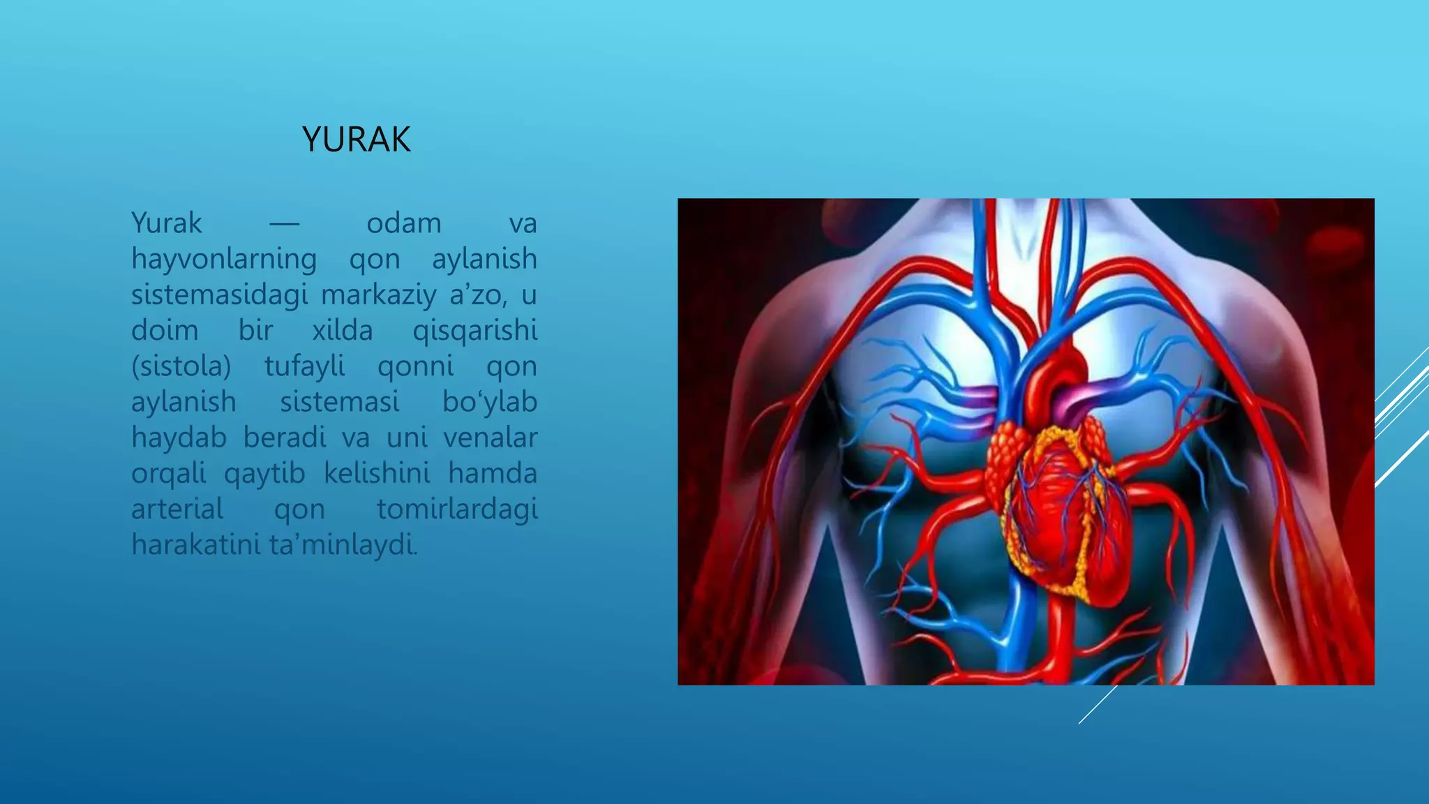 Kokrak suti porno pompalamoqda